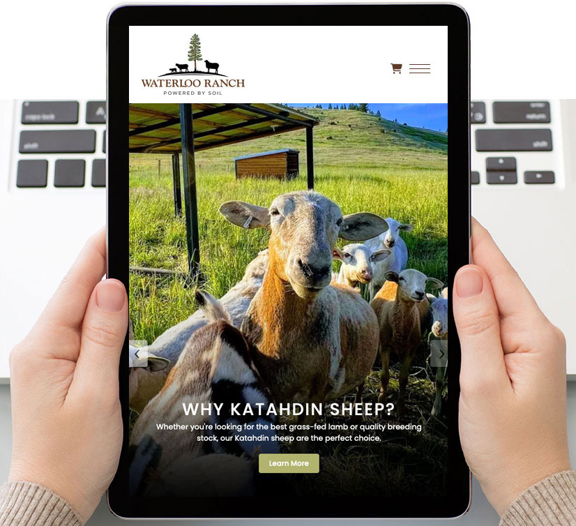 Waterloo Ranch Website